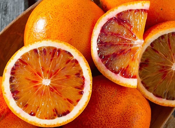 تصویر 4 از خرید و قیمت پرتقال پیوندی + فروش عمده